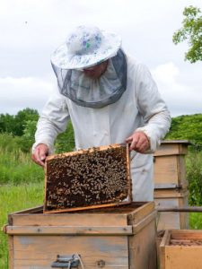 Chattooga Beekeepers